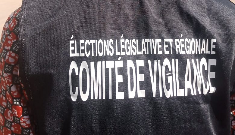 Élections régionales et législatives 2024 : le CPJ Agoè-nyivé met en place  des comités de Vigilance dans les six communes