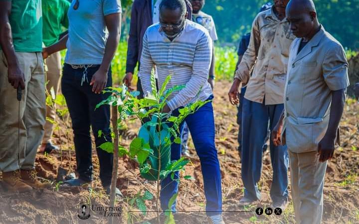 L’Université de Lomé observe la journée nationale de l’arbre