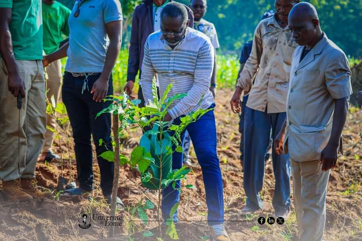 L’Université de Lomé observe la journée nationale de l’arbre
