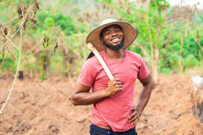 Un centre de formation agricole bientôt à Tindjassi