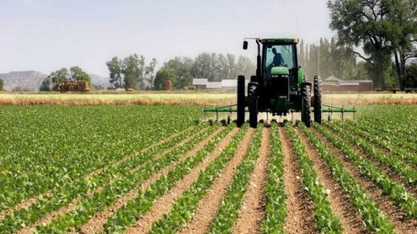 Le Togo renforce son agriculture pour une croissance durable