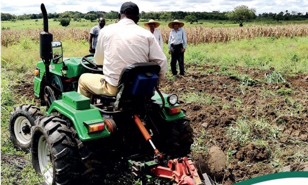 Le Togo mise sur la technologie pour booster son agriculture