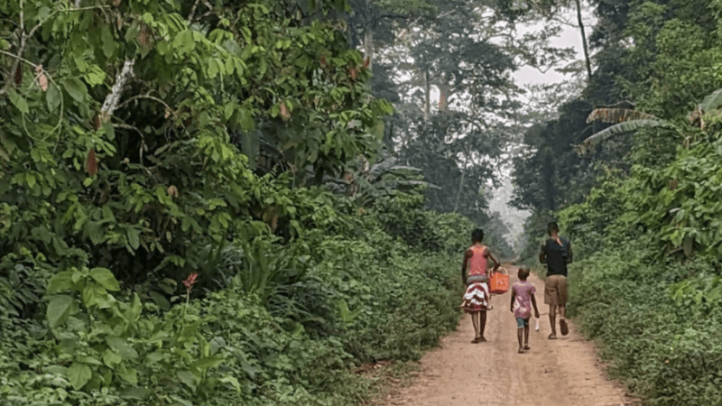 Un manuel validé pour une meilleure gestion de la forêt de Logové