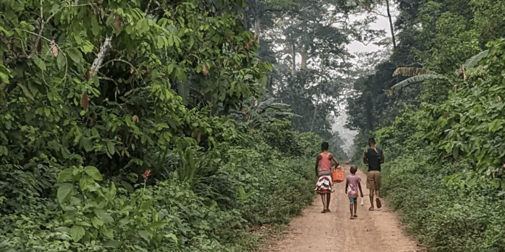 Un manuel validé pour une meilleure gestion de la forêt de Logové