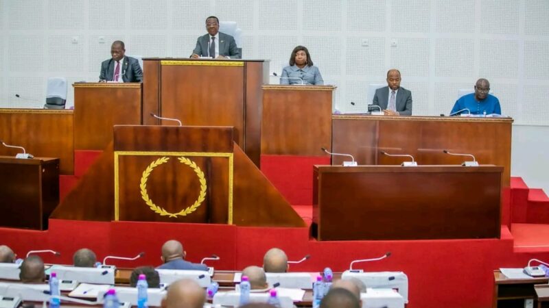 Assemblée nationale : la première session extraordinaire de l’année consacrée à l’examen de 8 projets de loi