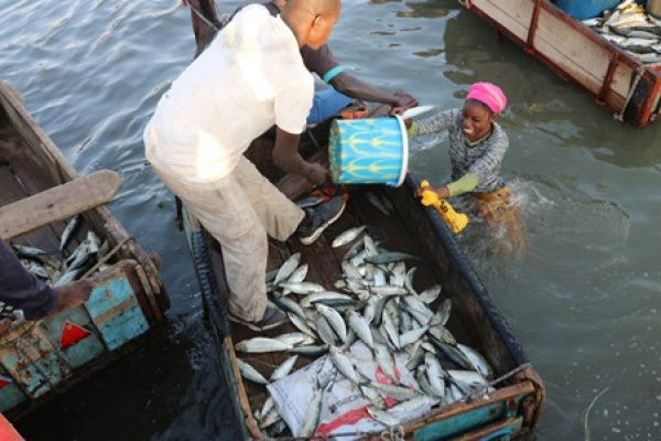 Le Togo renforce sa production halieutique pour réduire les importations