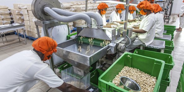 Le Togo accélère l’industrialisation agroalimentaire
