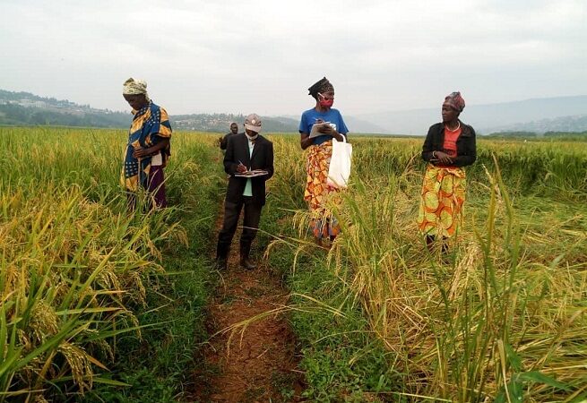 Transition verte : le Togo lance deux projets phares pour renforcer la résilience des zones rurales