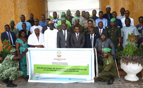 Vers un nouveau code forestier au Togo pour renforcer la protection de l’environnement