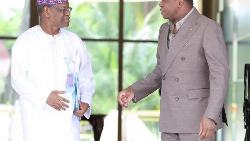Dr Baïlo Diallo reçu par Faure Gnassingbé pour faire le point sur les politiques de santé