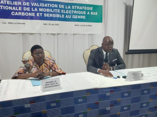Le Togo adopte une stratégie nationale pour une mobilité électrique verte et inclusive