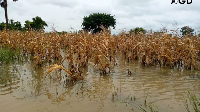 Rivière Sansargou : les populations des Savanes appelées à la vigilance
