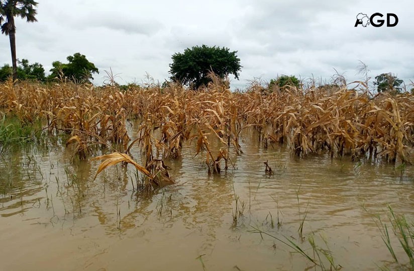 Rivière Sansargou : les populations des Savanes appelées à la vigilance