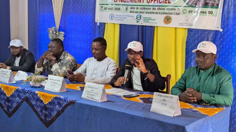 Reboisement à Avé 1 : l’ONG AJVSME en action contre la déforestation