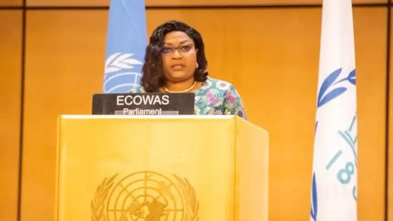 Genève : Mémounatou Ibrahima plaide pour un multilatéralisme plus équitable et inclusif