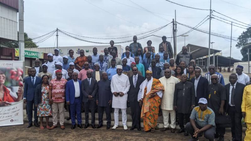Togo : les acteurs du café et du cacao réunis Lomé pour valoriser la production locale
